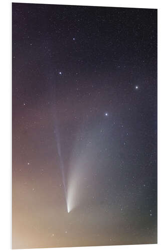 Print på skumplade Comet NEOWISE in the Big Dipper constellation