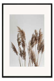 Gerahmter Kunstdruck Perfekte Pampas Gräser im Wind