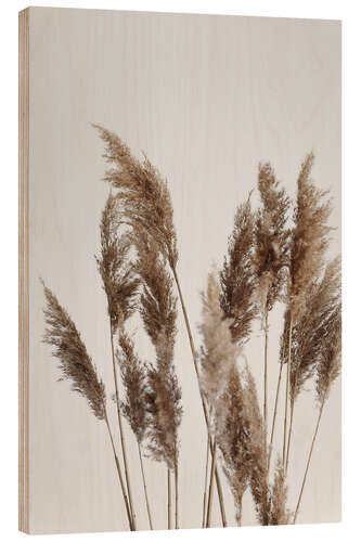 Hout print Perfect pampas grasses in the wind