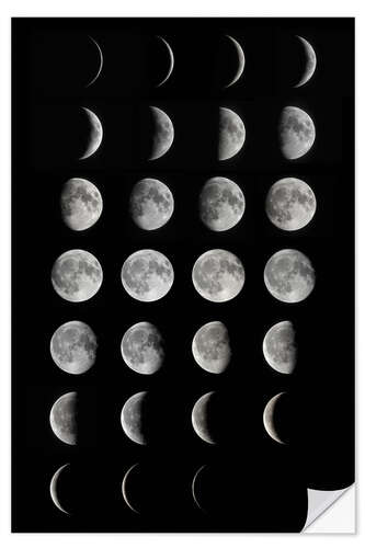 Sisustustarra Phases of the moon