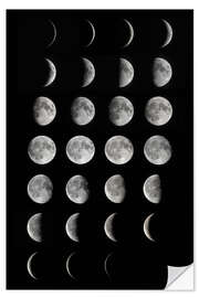 Muursticker Phases of the moon