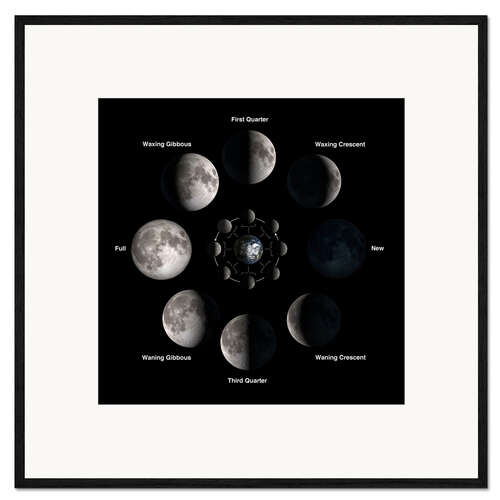 Framed art print Phases of the moon