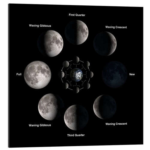 Galleriprint Phases of the moon