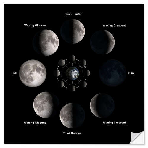 Naklejka na ścianę Phases of the moon