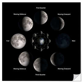 Selvklebende plakat Phases of the moon