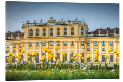 Acrylglasbild Tulpen vor Schloss Schönbrunn