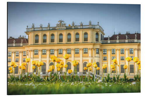 Alubild Tulpen vor Schloss Schönbrunn