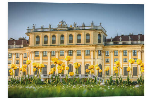 Foam board print Tulips in front of Schönbrunn Palace