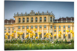 Gallery print Tulips in front of Schönbrunn Palace