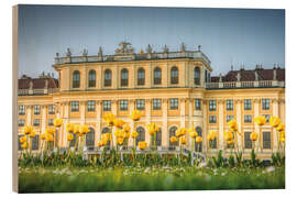 Hout print Tulips in front of Schönbrunn Palace