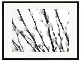 Gerahmter Kunstdruck Weidenkätzchen