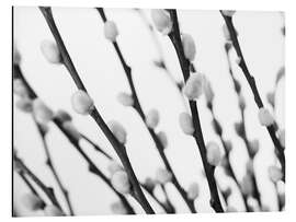 Magnettafel Weidenkätzchen