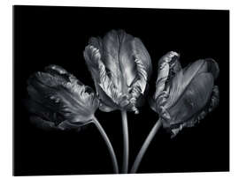 Galleriprint Three tulips