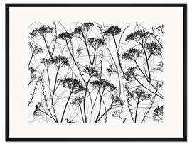 Gerahmter Kunstdruck Getrocknete Hortensie