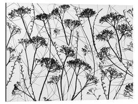 Magnettafel Getrocknete Hortensie