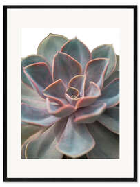 Stampa artistica con cornice Echeveria