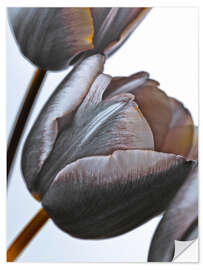 Wall sticker Modern Tulips