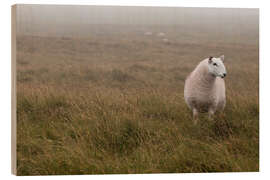 Wood print Sheep in Wales