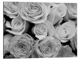 Aluminium print Rose bouquet, b/w