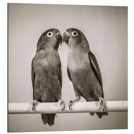 Magnettafel Unzertrennliche