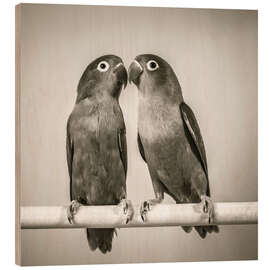 Wood print Lovebirds