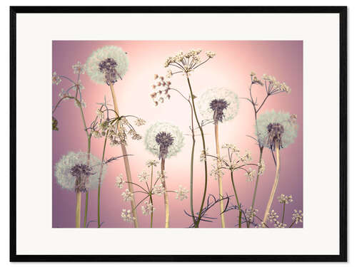 Kehystetty taidepainatus Meadow flowers in pink light