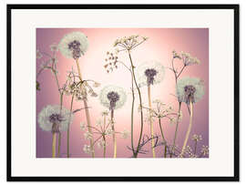 Framed art print Meadow flowers in pink light