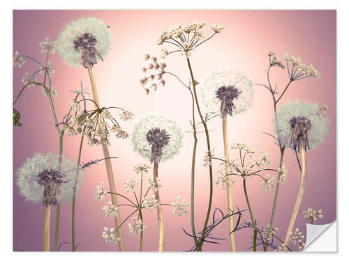 Naklejka na ścianę Meadow flowers in pink light