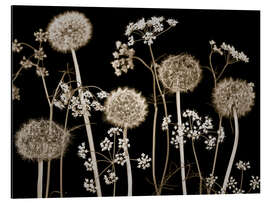 Cuadro de aluminio Meadow flowers