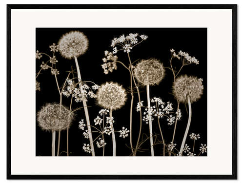Impressão artística com moldura Meadow flowers