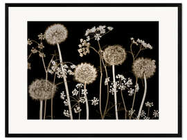 Impressão artística com moldura Meadow flowers