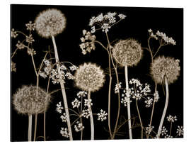 Gallery Print Wiesenblumen