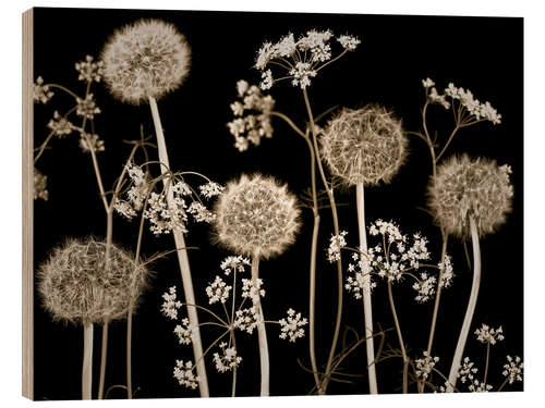 Wood print Meadow flowers