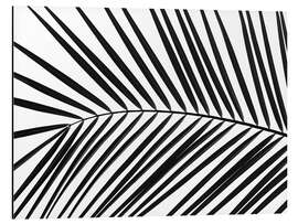 Aluminium print Palm leaf II