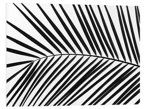 Foam board print Palm leaf II