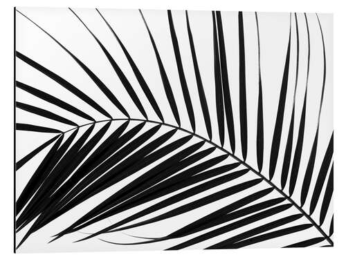 Aluminium print Palm leaf I