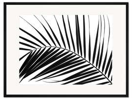 Gerahmter Kunstdruck Palmenwedel I