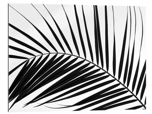 Gallery print Palm leaf I