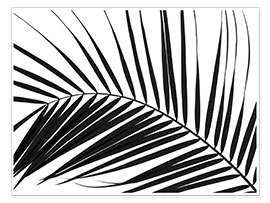 Plakat Liść palmowy I