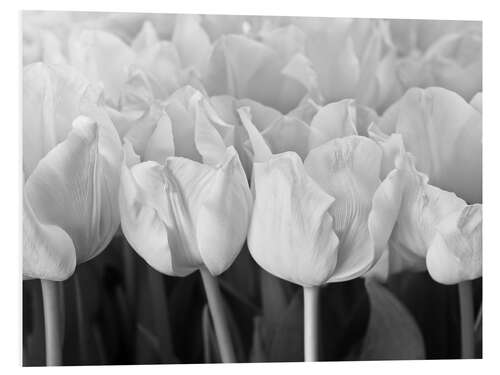 PVC print White tulip sea