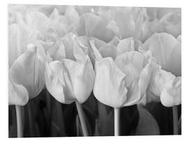 Tableau en PVC White tulip sea