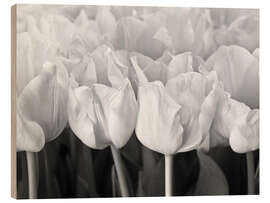 Stampa su legno White tulip sea