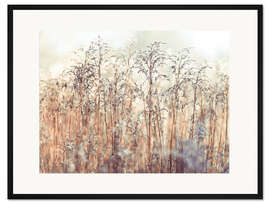 Gerahmter Kunstdruck Schilf