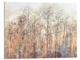 Gallery print Reed