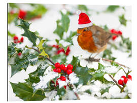 Galleriprint European robin in the snow