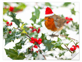 Selvklebende plakat European robin in the snow