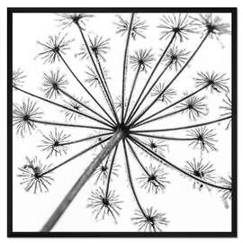 Gerahmter Kunstdruck Aufblicken