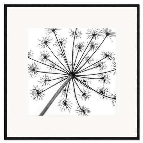 Framed art print Look up