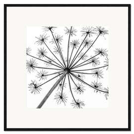 Framed art print Look up