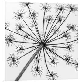 Magnettafel Aufblicken